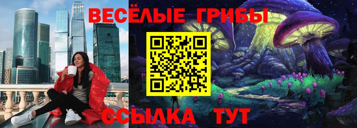 Псилоцибиновые грибы мицелий  Вход с VPN  Касимов 